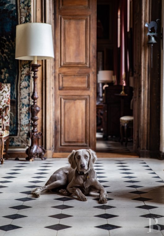 En Eure-et-Loire, à l’ouest de Chartres, un château du 17e dans un parc de 140 ha traversé par l’Eure - photo  n°31